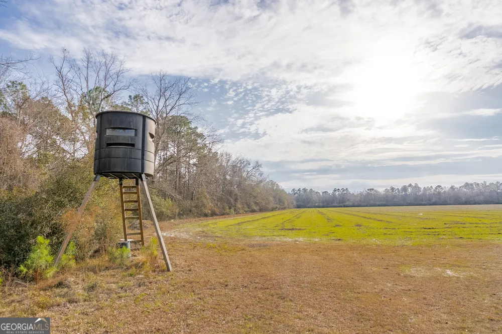 TRACT 3 Reddish RD Odum, GA 31555