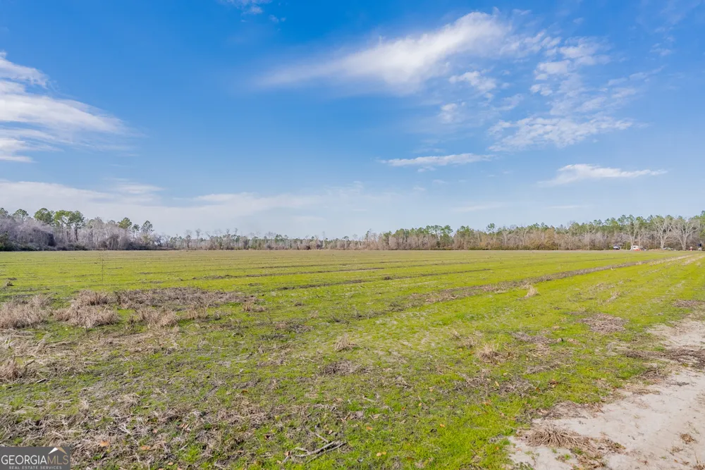 TRACT 3 Reddish RD Odum, GA 31555