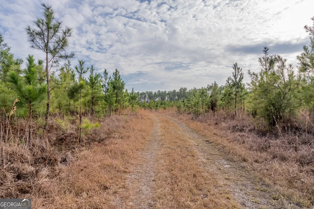 TRACT 3 Reddish RD Odum, GA 31555