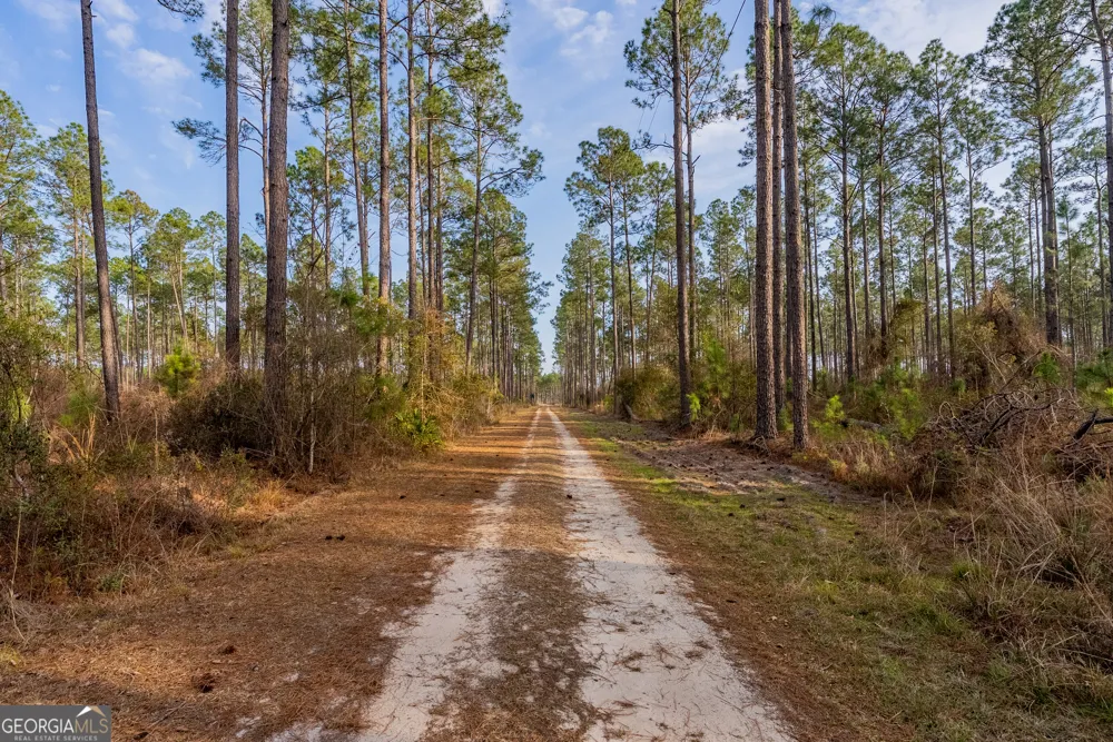 TRACT 3 Reddish RD Odum, GA 31555