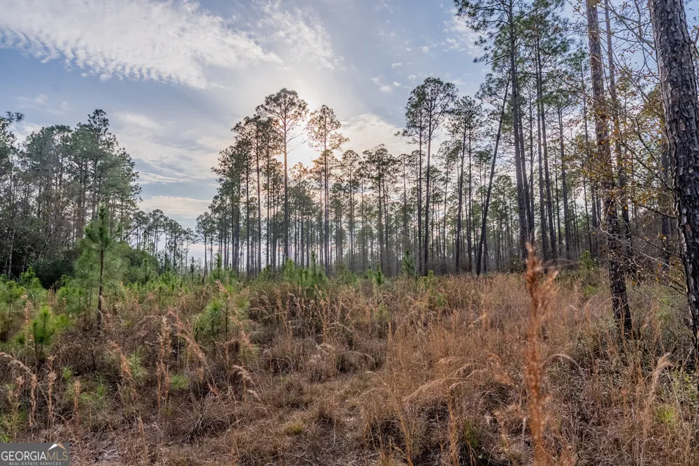 TRACT 3 Reddish RD Odum, GA 31555