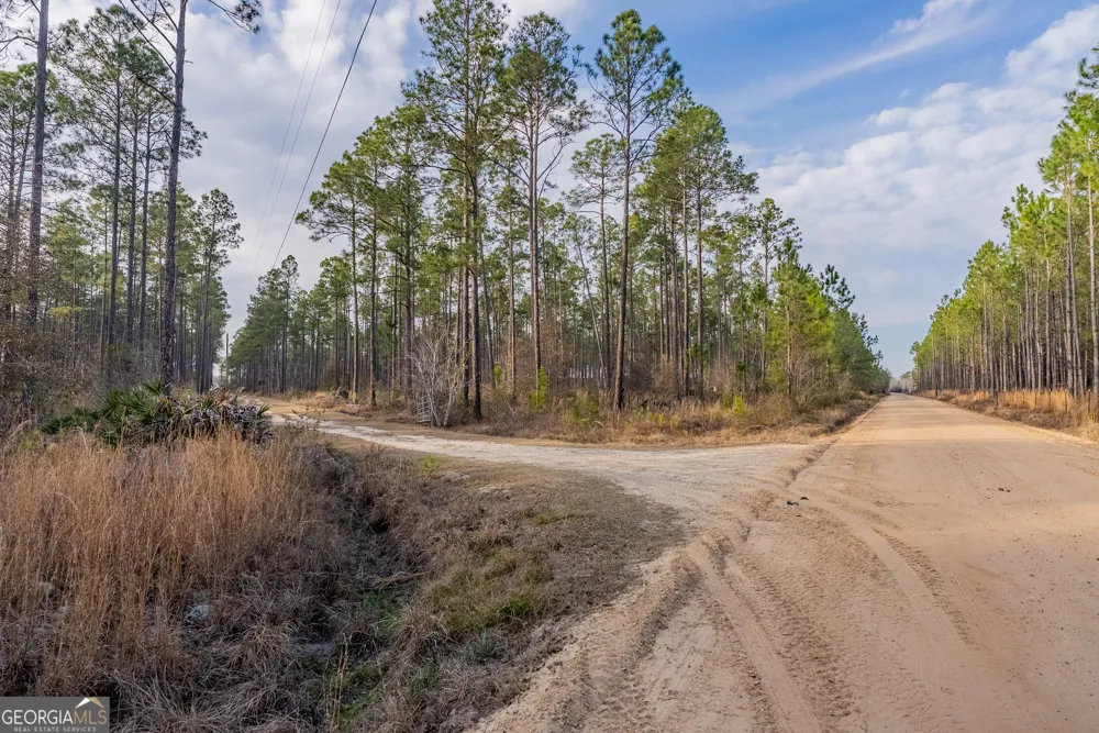 TRACT 3 Reddish RD Odum, GA 31555