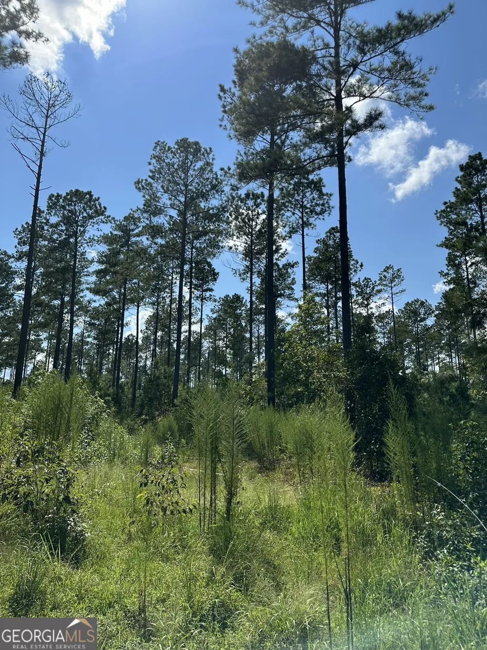 0 Fears RD Madison, GA 30650