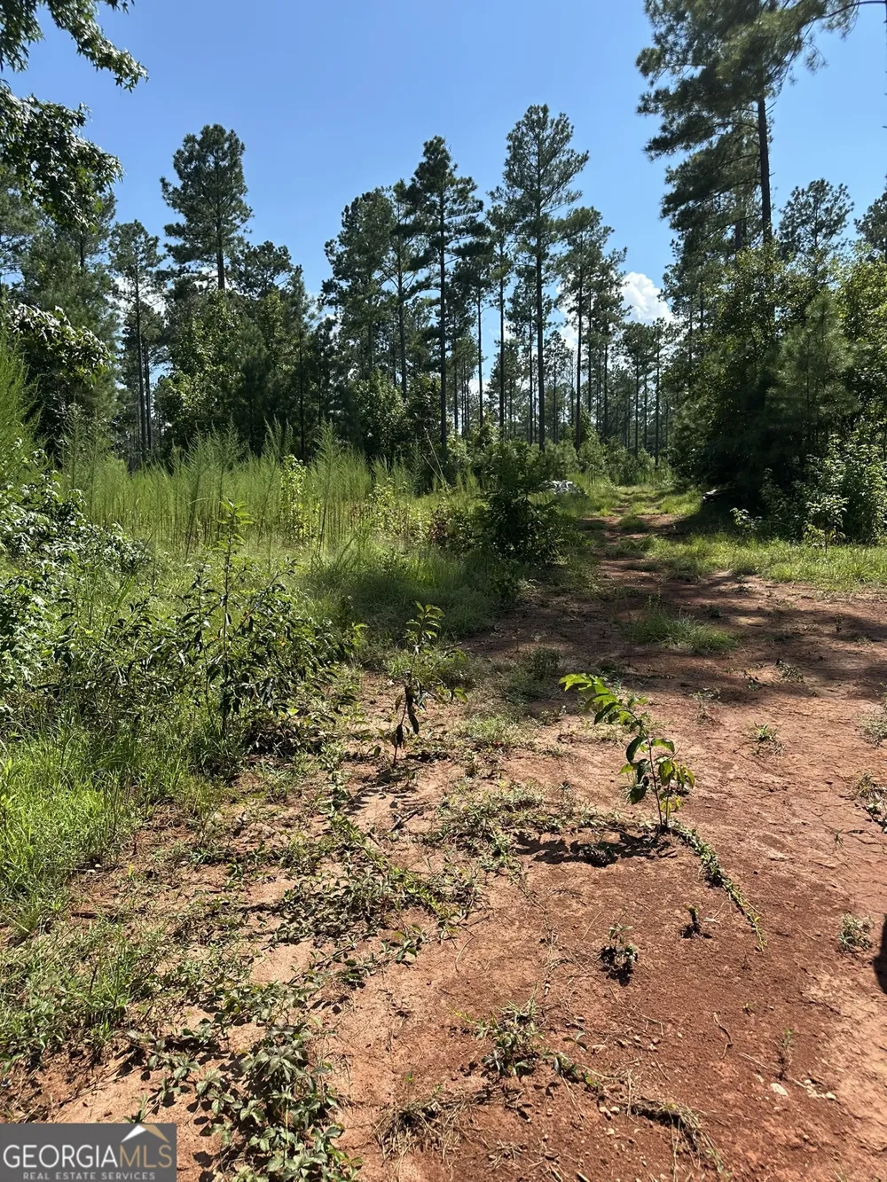 0 Fears RD Madison, GA 30650