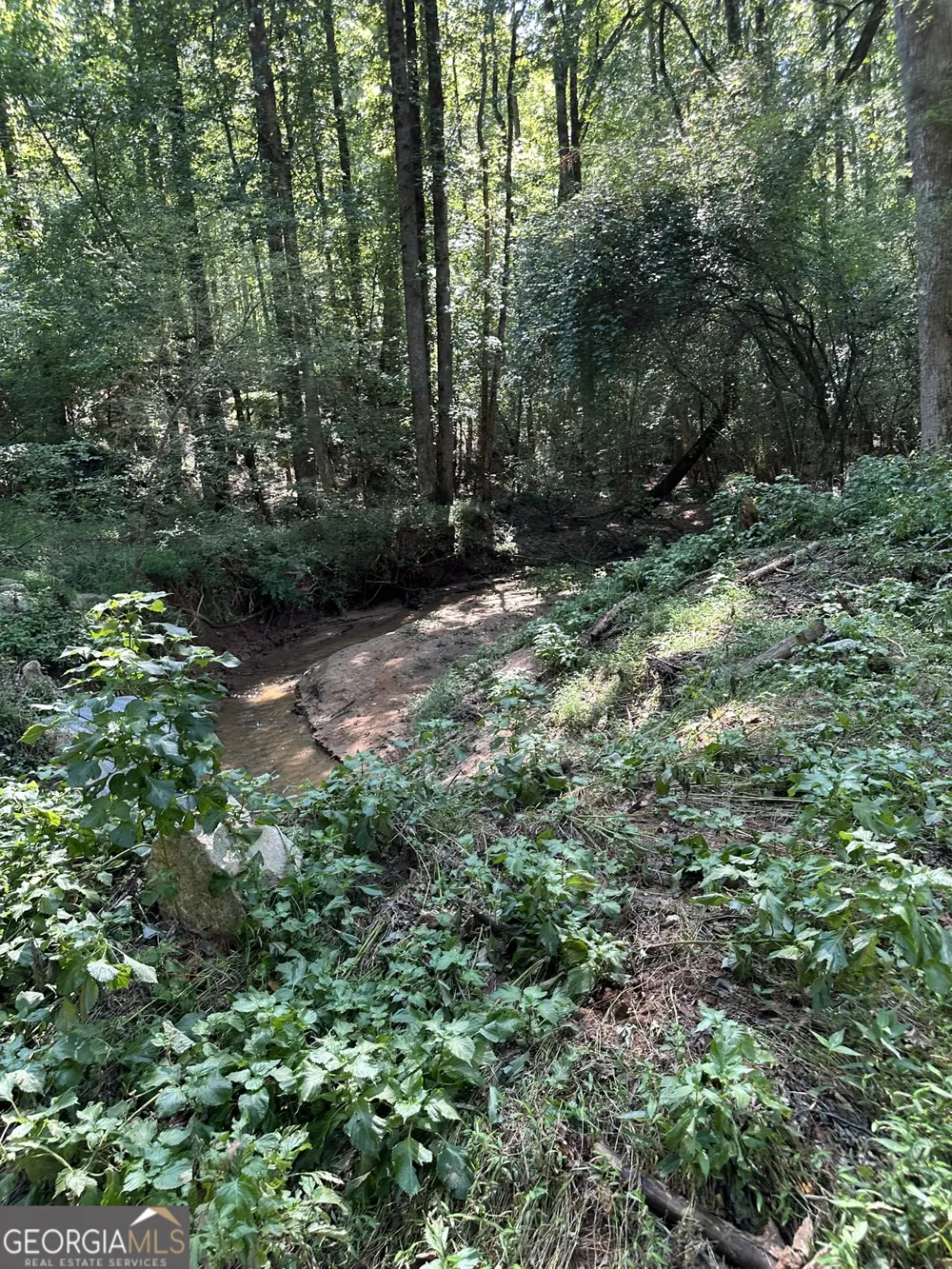 0 Fears RD Madison, GA 30650
