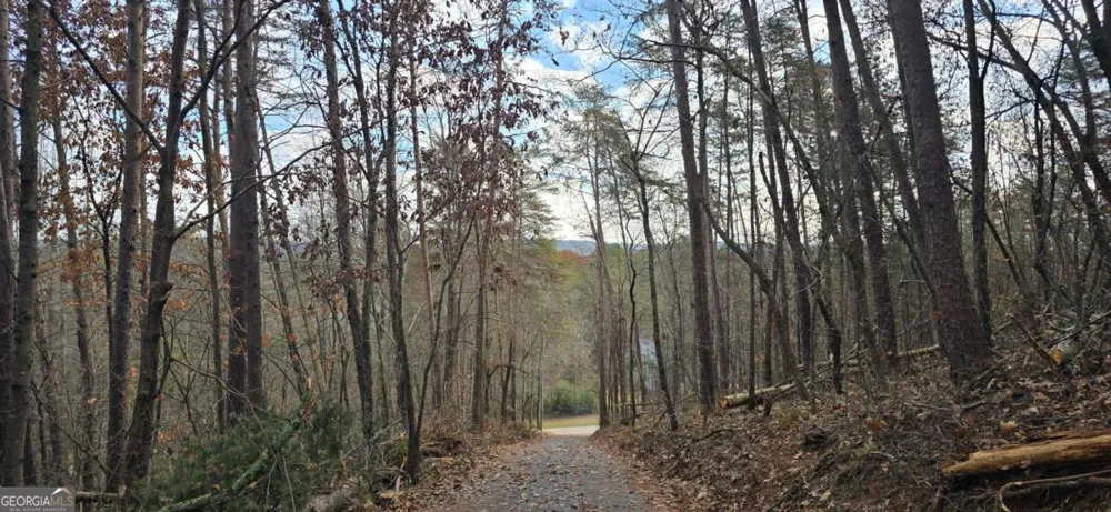TRACT 30 Deerfield Estates Fairmount, GA 30139