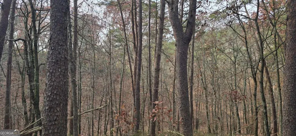 TRACT 30 Deerfield Estates Fairmount, GA 30139