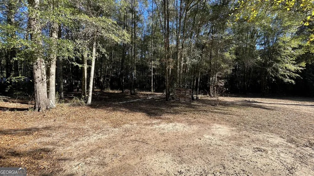 21 Ruby RD Hawkinsville, GA 31036