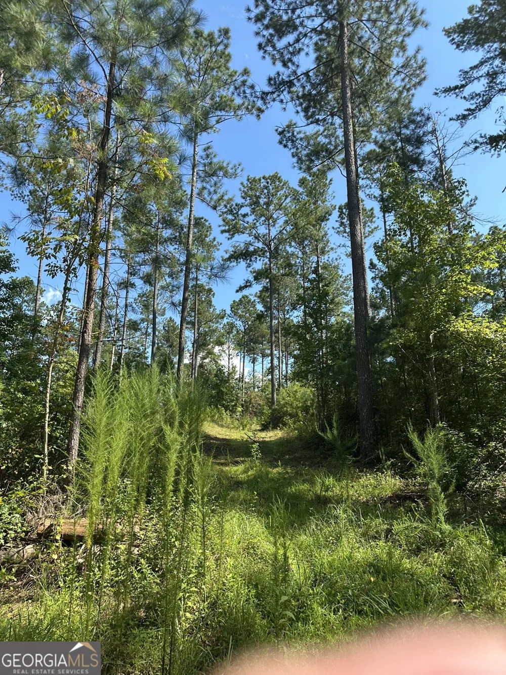 2470 Fears RD Madison, GA 30650