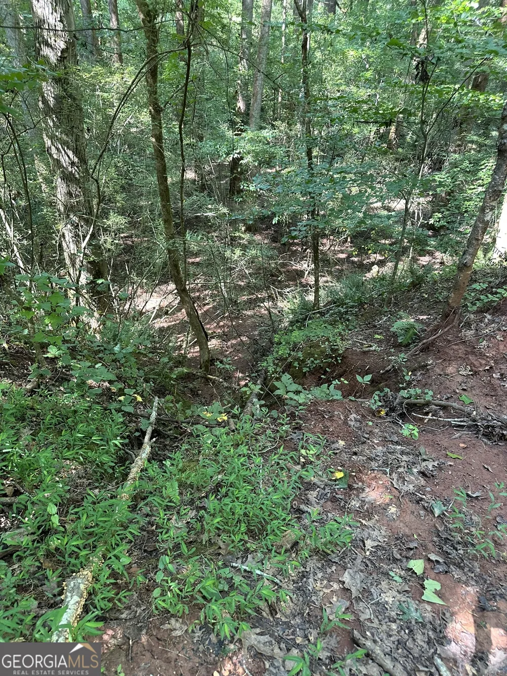 2470 Fears RD Madison, GA 30650