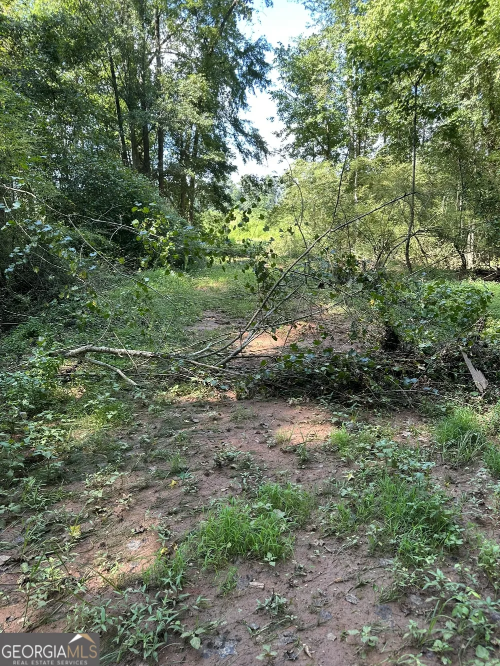 2470 Fears RD Madison, GA 30650