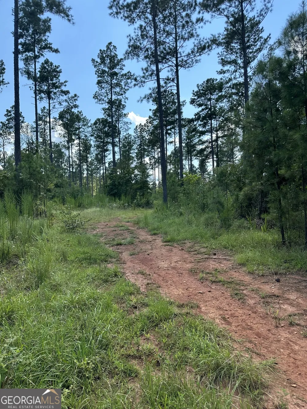 2470 Fears RD Madison, GA 30650