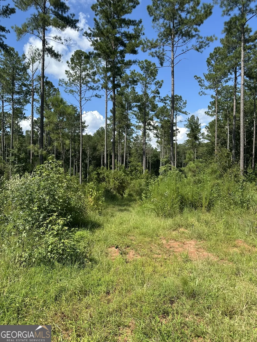 2470 Fears RD Madison, GA 30650