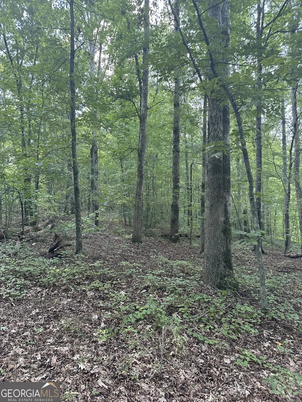 2470 Fears RD Madison, GA 30650
