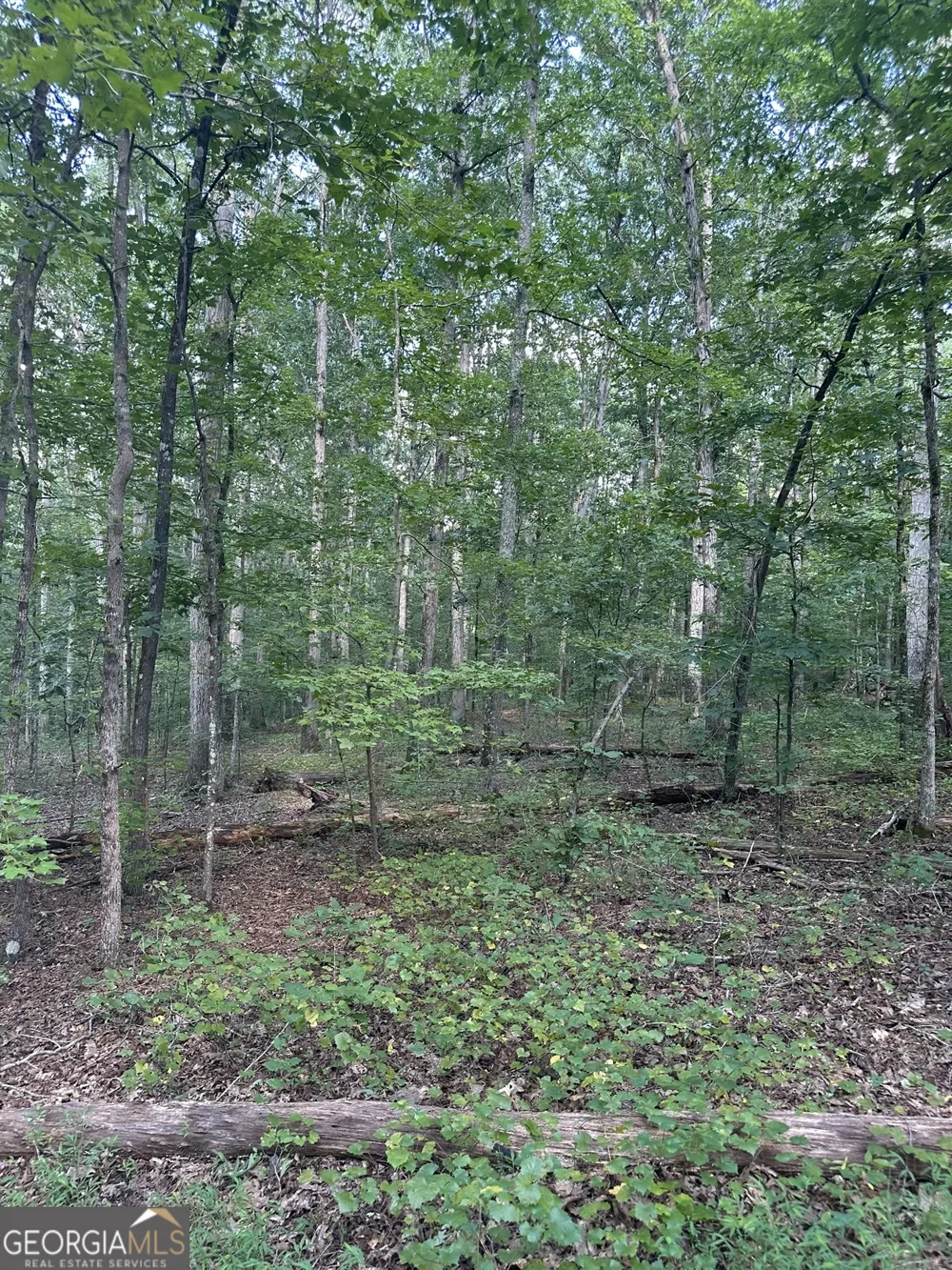 2470 Fears RD Madison, GA 30650
