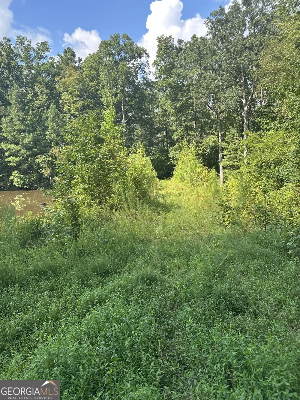 2470 Fears RD Madison, GA 30650