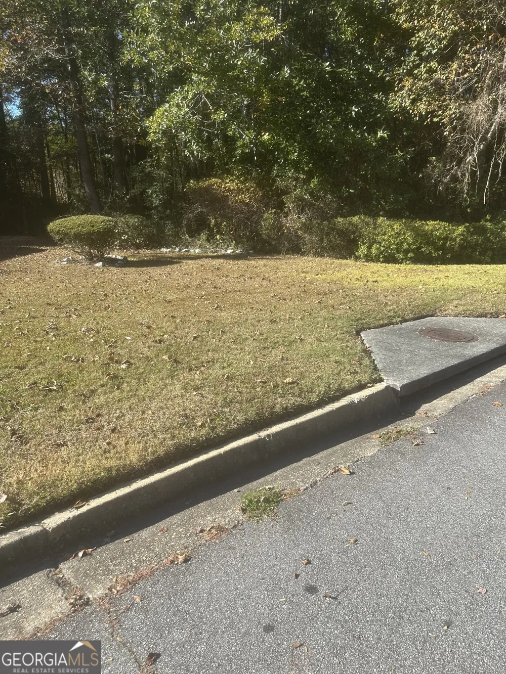 0 Buffington RD South Fulton, GA 30291