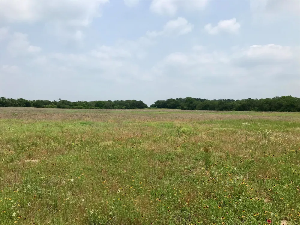 1672 Sayers Tract 4 Road Bastrop, TX 78602