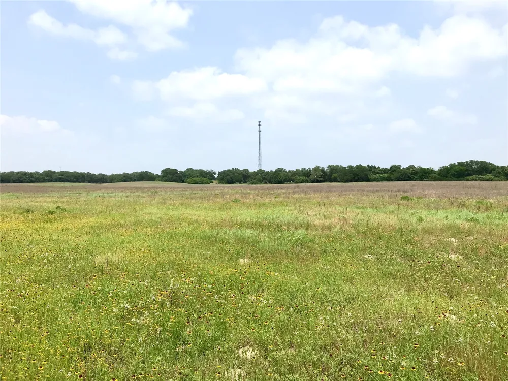1672 Sayers Tract 4 Road Bastrop, TX 78602