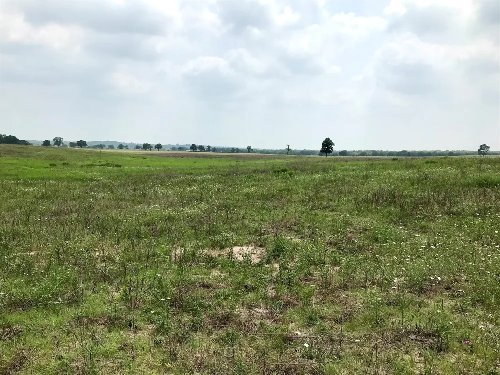 1672 Sayers Tract 4 Road Bastrop, TX 78602