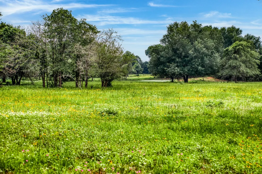 10610 CR 322 Caldwell, TX 77836