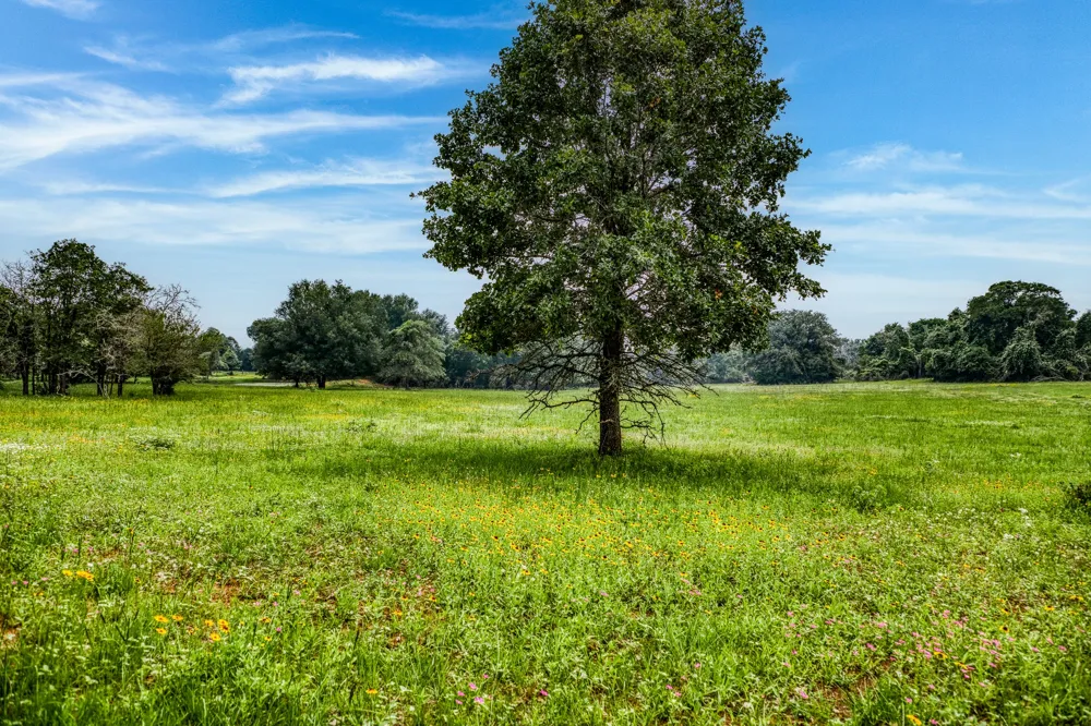 10610 CR 322 Caldwell, TX 77836