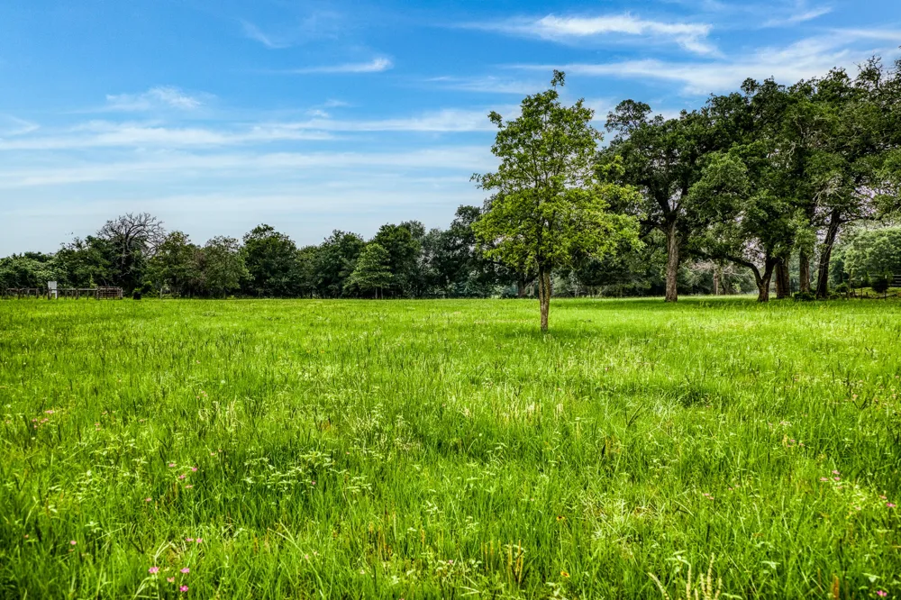 10610 CR 322 Caldwell, TX 77836