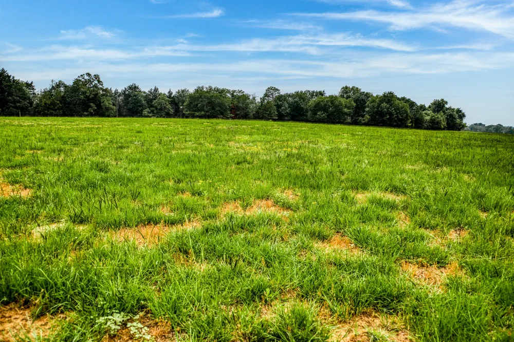 10610 CR 322 Caldwell, TX 77836