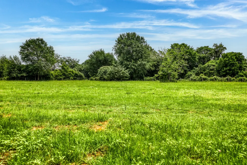 10610 CR 322 Caldwell, TX 77836