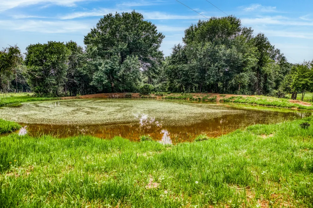 10610 CR 322 Caldwell, TX 77836