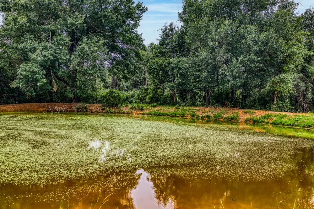 10610 CR 322 Caldwell, TX 77836