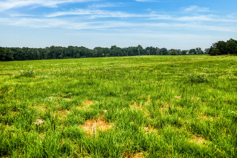 10610 CR 322 Caldwell, TX 77836
