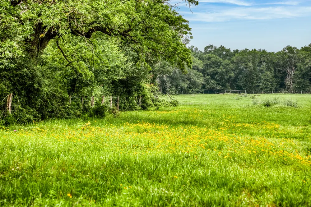 10610 CR 322 Caldwell, TX 77836