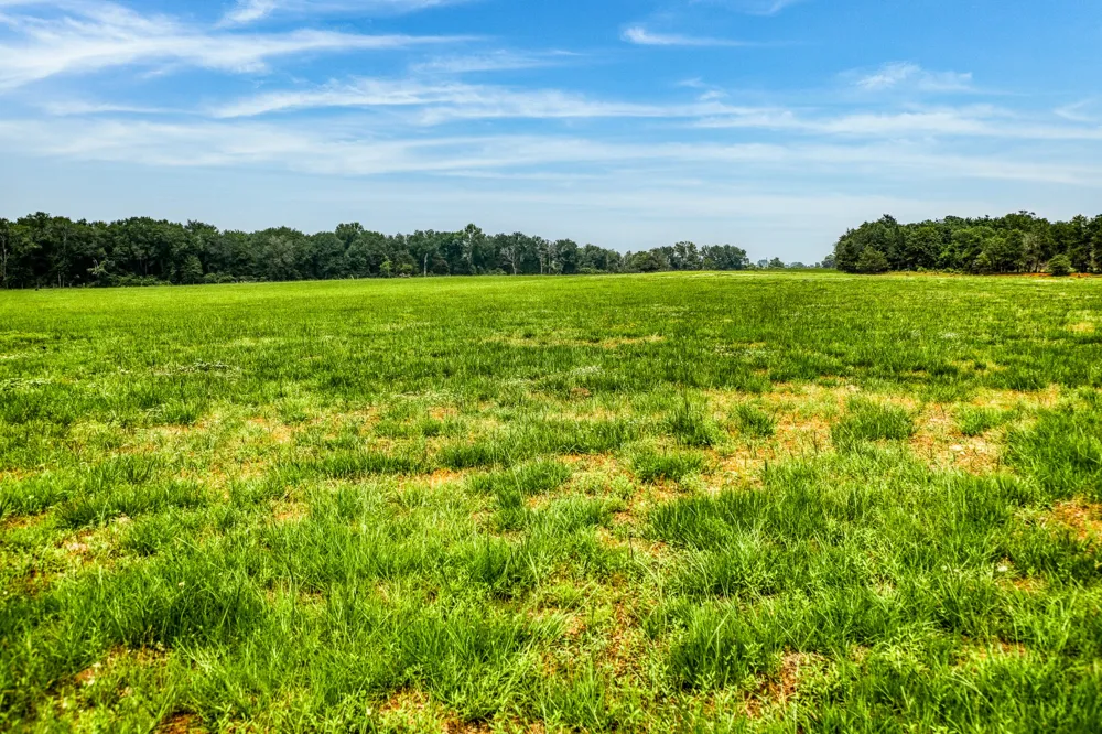 10610 CR 322 Caldwell, TX 77836