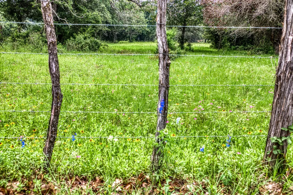 10610 CR 322 Caldwell, TX 77836