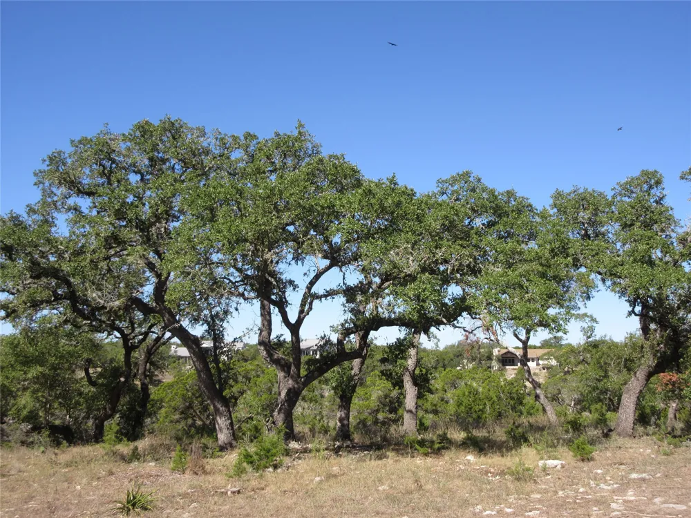 36 Mustang Valley Trail Wimberley, TX 78676