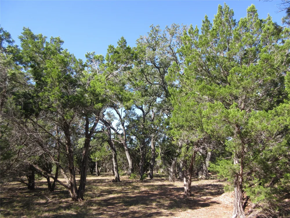 36 Mustang Valley Trail Wimberley, TX 78676