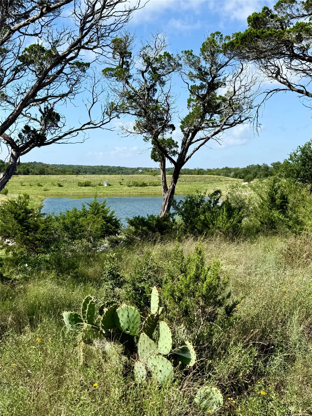36 Mustang Valley Trail Wimberley, TX 78676