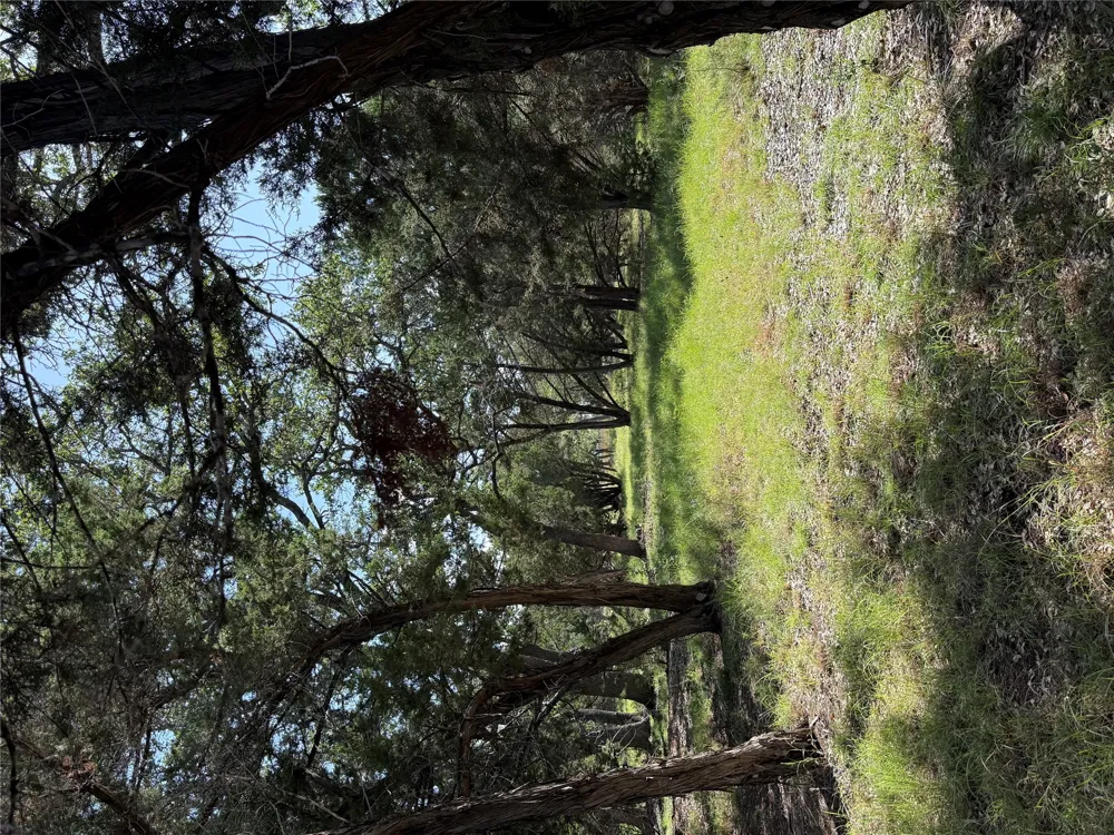 36 Mustang Valley Trail Wimberley, TX 78676
