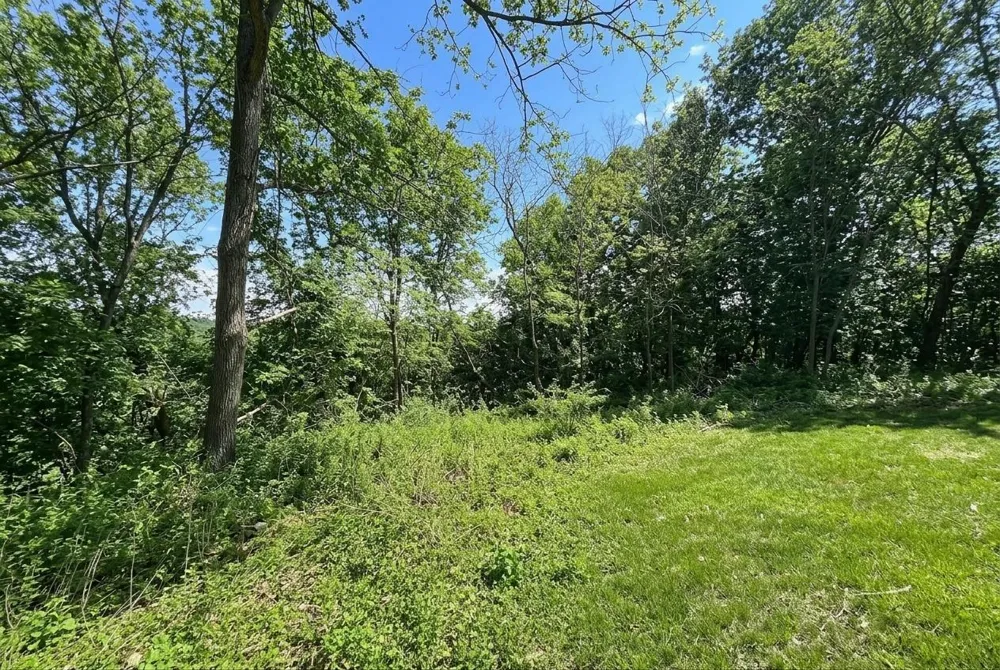 1407 Mineral Springs Parkway NE Owatonna, MN 55060