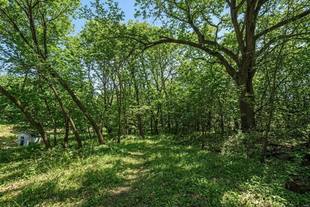 1407 Mineral Springs Parkway NE Owatonna, MN 55060
