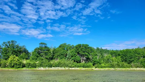 TBD Brush Lake Lane