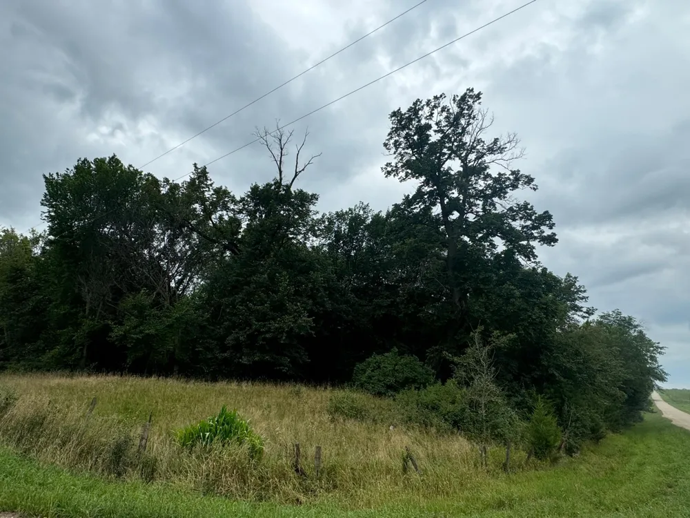 x23 Weller Avenue Norwood Young America, MN 55368