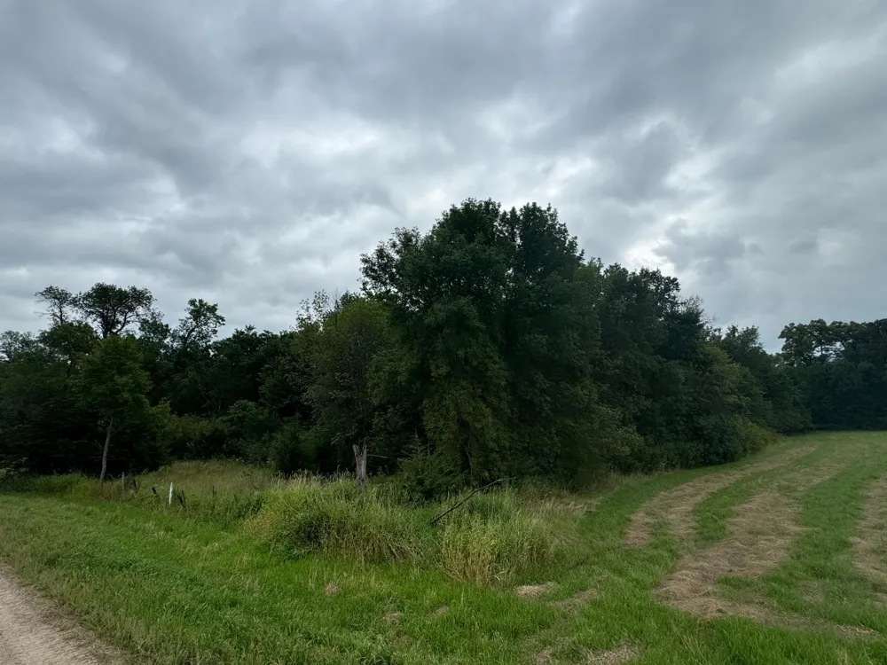 x23 Weller Avenue Norwood Young America, MN 55368