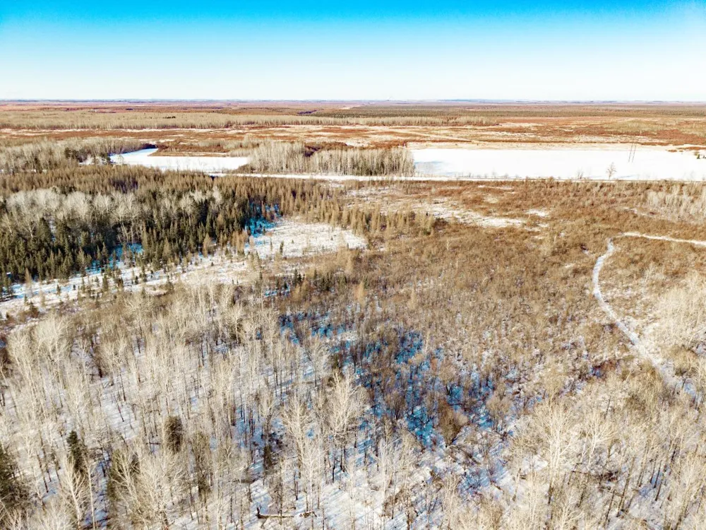 84XX Peary junction Rd Cotton, MN 55724