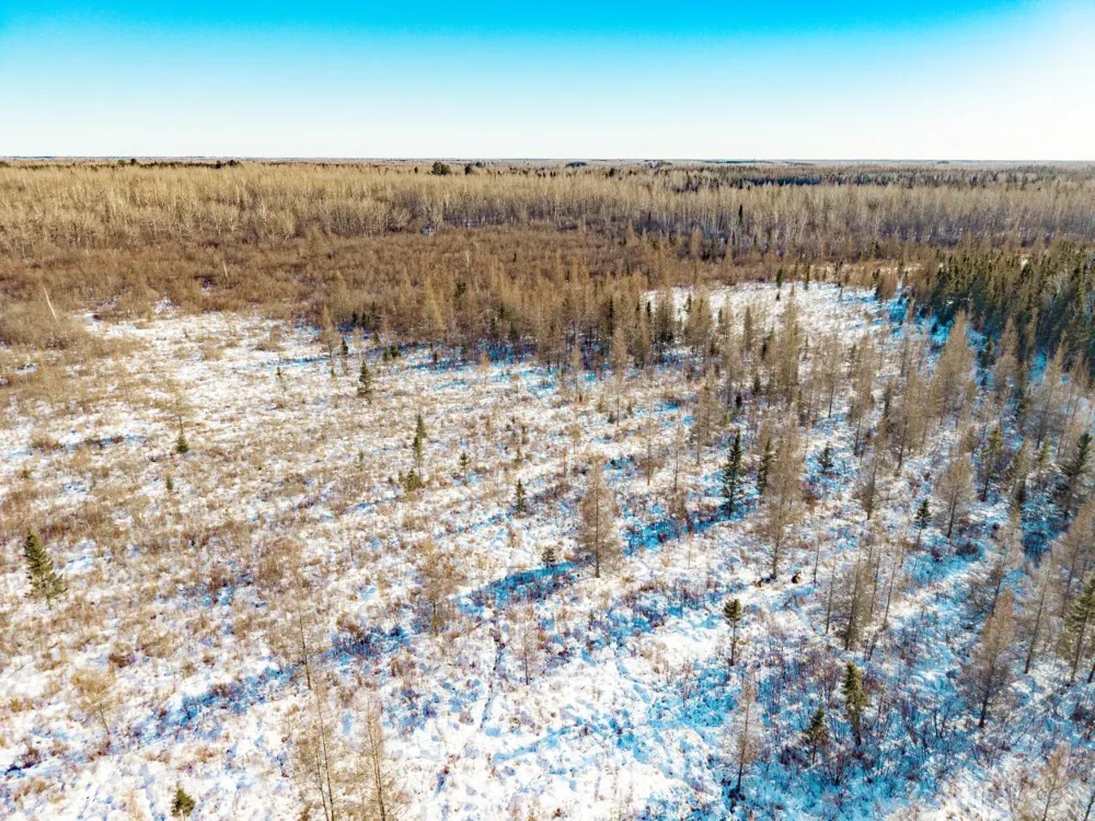 84XX Peary junction Rd Cotton, MN 55724