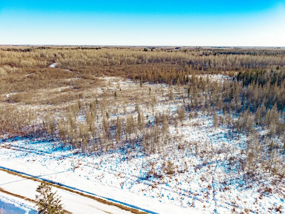 84XX Peary junction Rd Cotton, MN 55724