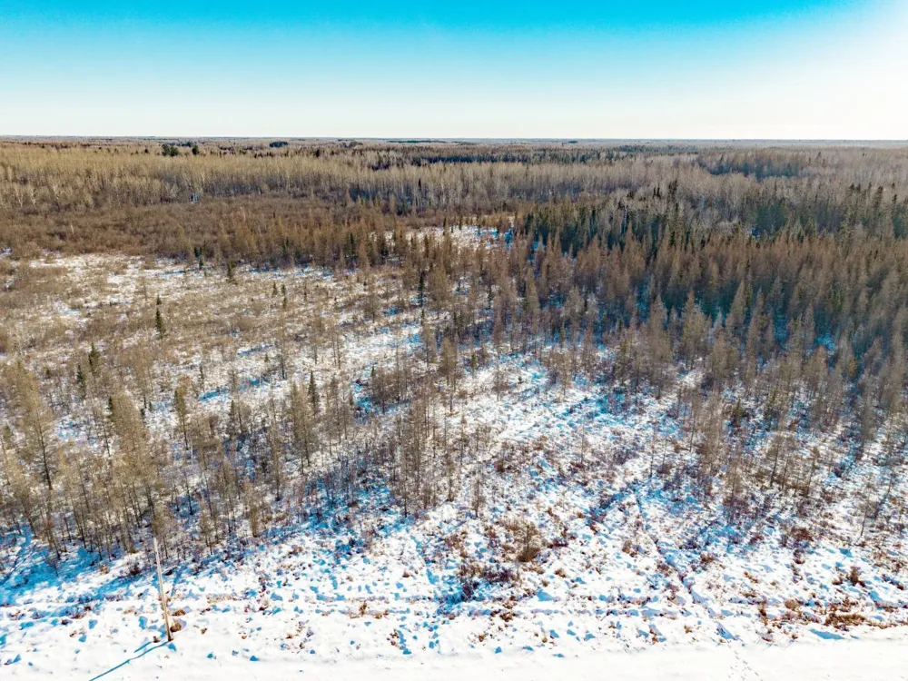 84XX Peary junction Rd Cotton, MN 55724