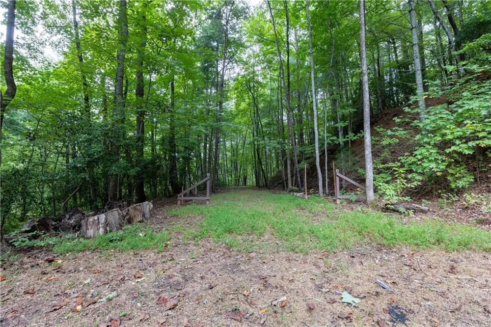 258 Ber Weg Helen, GA 30545