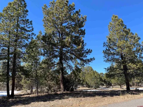 Badger Trail South